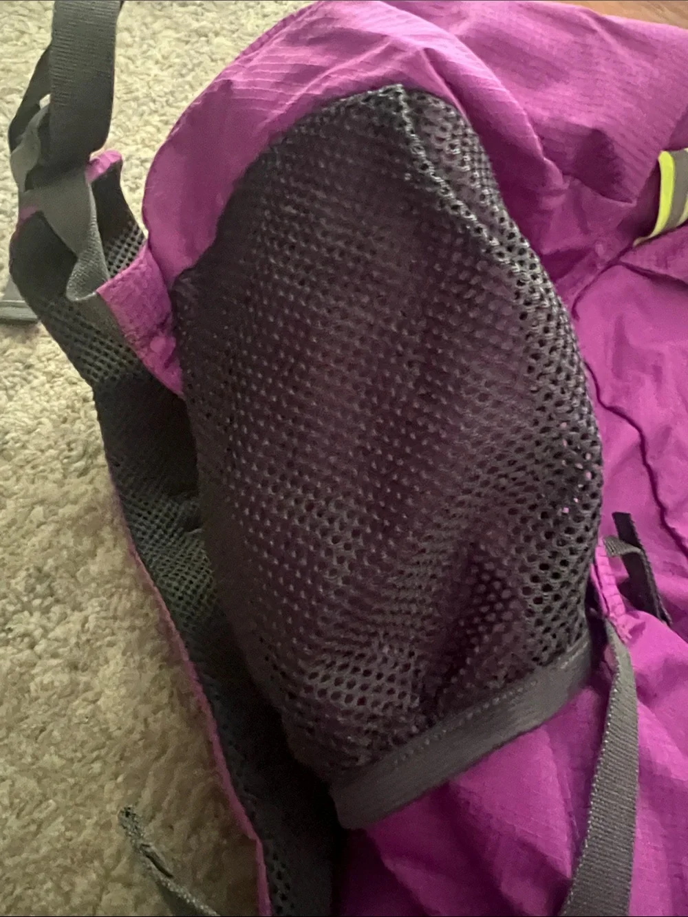 Purple Daypack Backpack